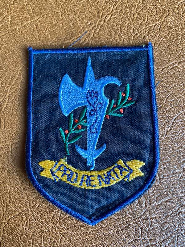 17 SQUADRON PATCH-WORN FROM 1980'S ON RIGHT UPPER ARM-ORIGINAL USED ITEM