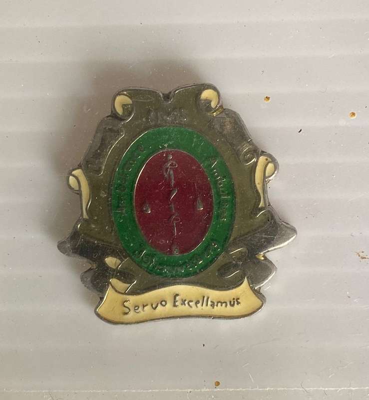 JOHANNESBURG FIRE BRIGADE BADGES AND RANKS-SOLD TOGETHER
