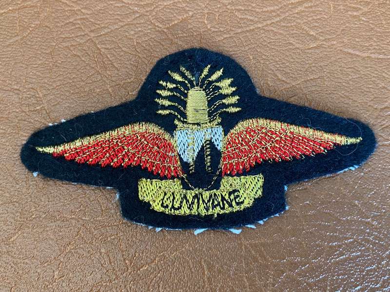 SWAZILAND FREE FALL PARACHUTE WING RED-GOLD ON BLACK FELT