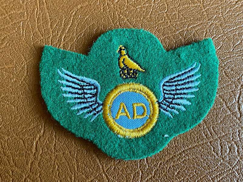 ZIMBABWE DEFENCE FORCE PARACHUTE BATTALION AIR DISPATCHER WING- EMBROIDERED ON GREEN CLOTH