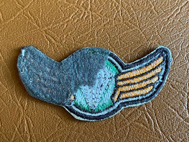 BOPHUTHATSWANA DEFENCE FORCE PARACHUTE WINGS- BASIC - GREEN