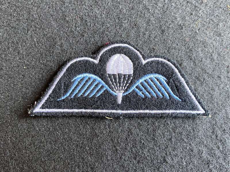 BELGIUM PARA WING
