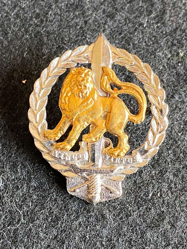 REGT. HILLCREST COLLAR BADGE- 2 PINS