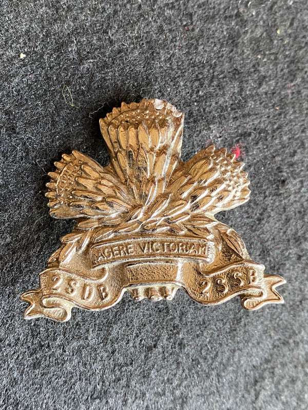 1 SPECIAL SERVICE BATTALION -WHITE METAL CAP BADGE- 1X SCREW LUGS