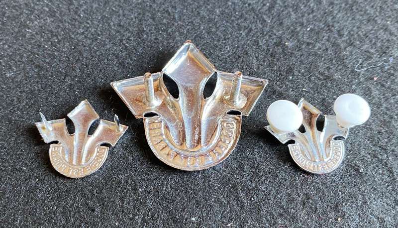 CORPS OF PROFFESIONAL OFFICERS CHROME CAP AND COLLARS-APPROVED 1978-LUGS + PINS INTACT