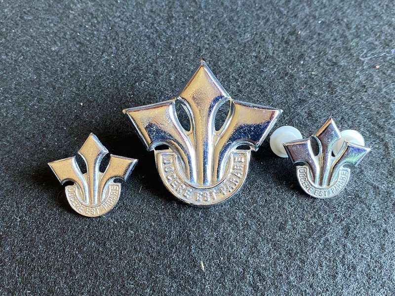 CORPS OF PROFFESIONAL OFFICERS CHROME CAP AND COLLARS-APPROVED 1978-LUGS + PINS INTACT