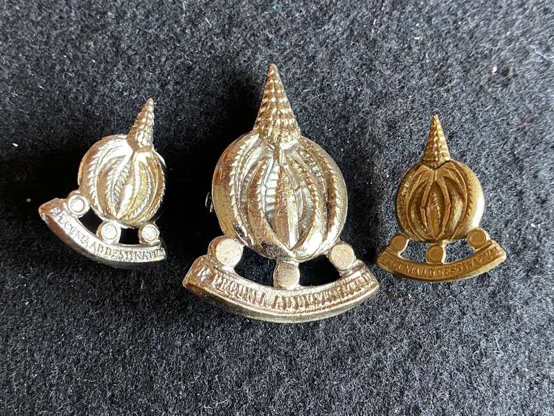 FINANCES SERVICES CORPS CAP(ONE LUG) AND COLLARS-APPROVED 1973
