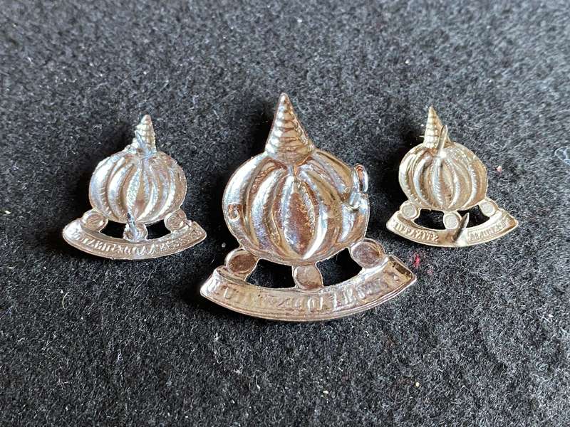 FINANCES SERVICES CORPS CAP(ONE LUG) AND COLLARS-APPROVED 1973