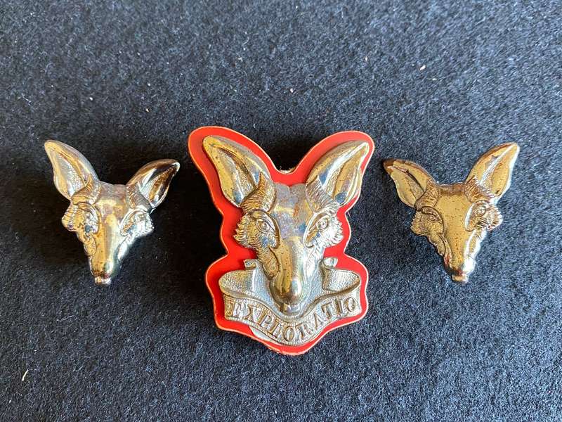 SA INTELLIGENCE CORPS CHROMED CAP AND COLLARS-LUGS + PINS INTACT