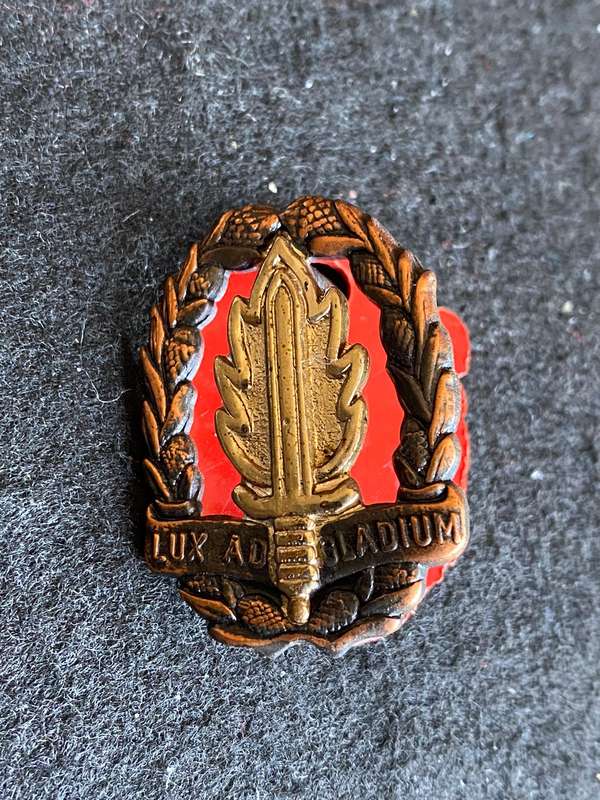 SA ARMY INTELLIGENCE SCHOOL BI/METAL CAP BADGE-APPROVED IN 1986- 2 LUGS
