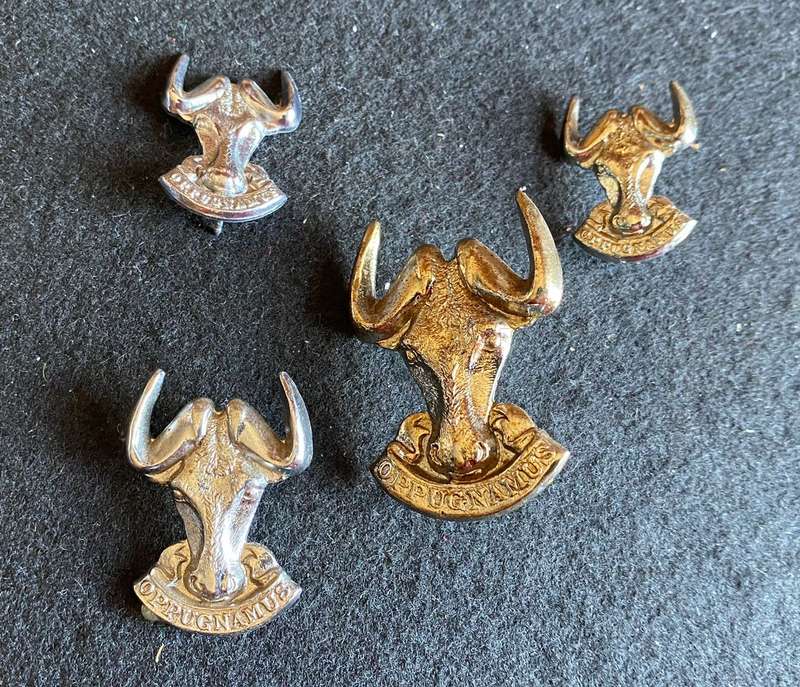 REGT. PORT NATAL CAP,ONE COLLAR AND 2 X MESS DRESS COLLARS- 2 PINS MISSING