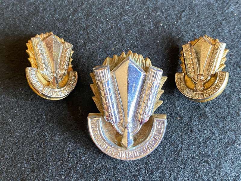 SA CATERIING CORPS BI/METAL CAP AND COLLARS-APPROVED 1978-LUGS + PINS INTACT