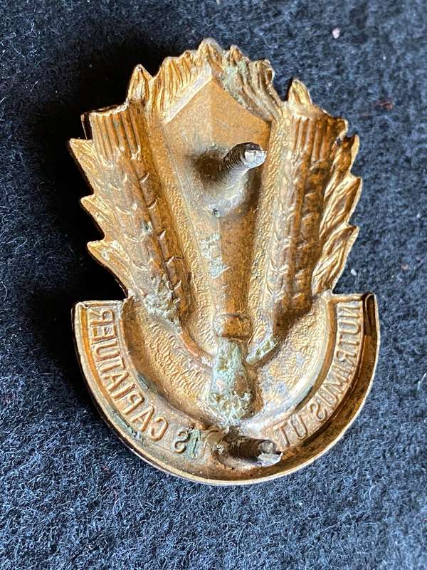 SA CATERING CORPS BI/METAL CAP BADGE-APPROVED 1978-2X SCREW LUGS