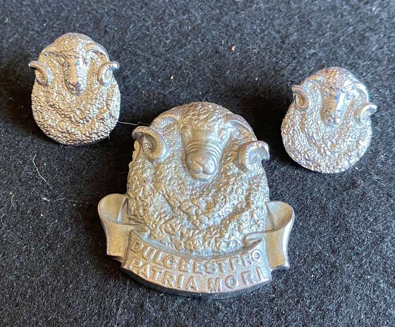 REGT. GROOT KAROO CHROMED CAP (NO LUGS) + COLLARS-WORN FROM 1964