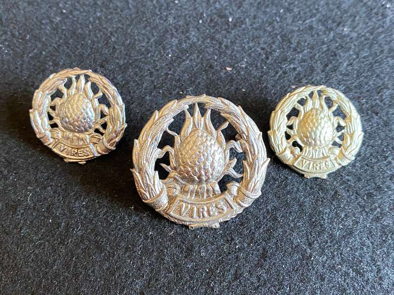 REGT. BOLAND CHROMED CAP AND COLLARS-LUGS + PINS INTACT