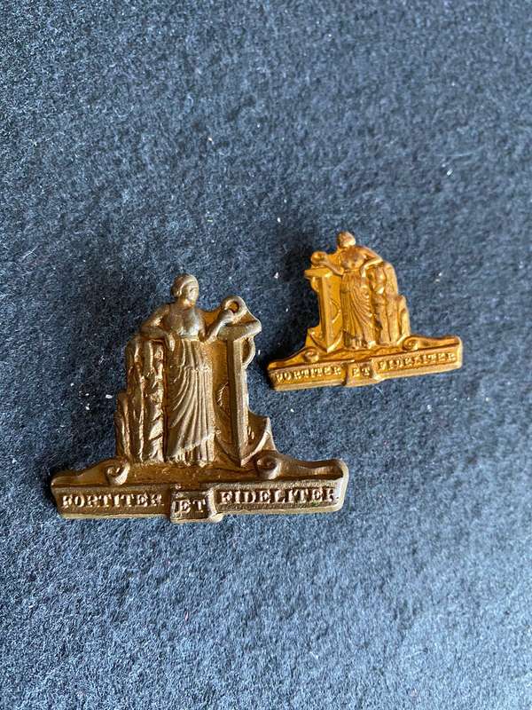 SA CAPE CORPS GILT CAP BADGE AND ONE COLLAR-APPROVED 1973-LUGS + PINS INTACT