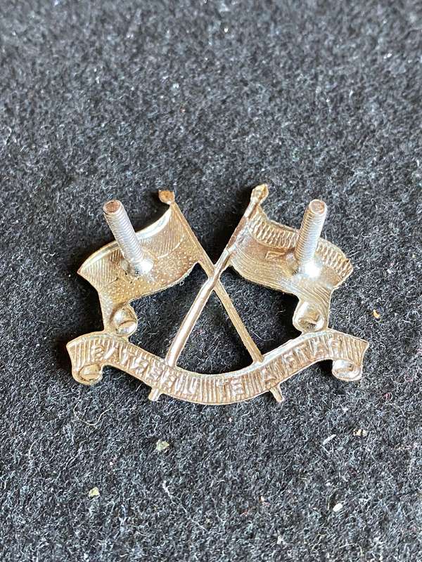 LIGHT HORSE REGT. CHROME CAP BADGE- 2 LUGS-WORN 1976-2002
