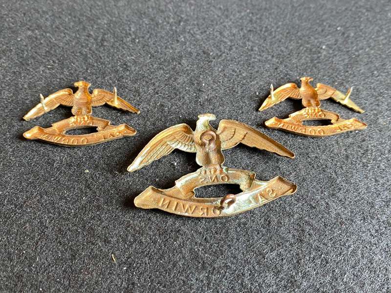 REGT. PRESIDENT KRUGER GILDING METAL CAP AND COLLARS-WORN FROM 1965-LUGS + PINS INTACT