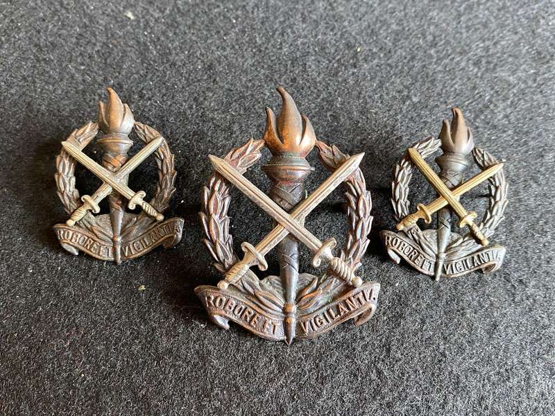 REGT. SCHOONSPRUIT CAP AND COLLARS-WORN FROM 1966-LUGS + PINS INTACT
