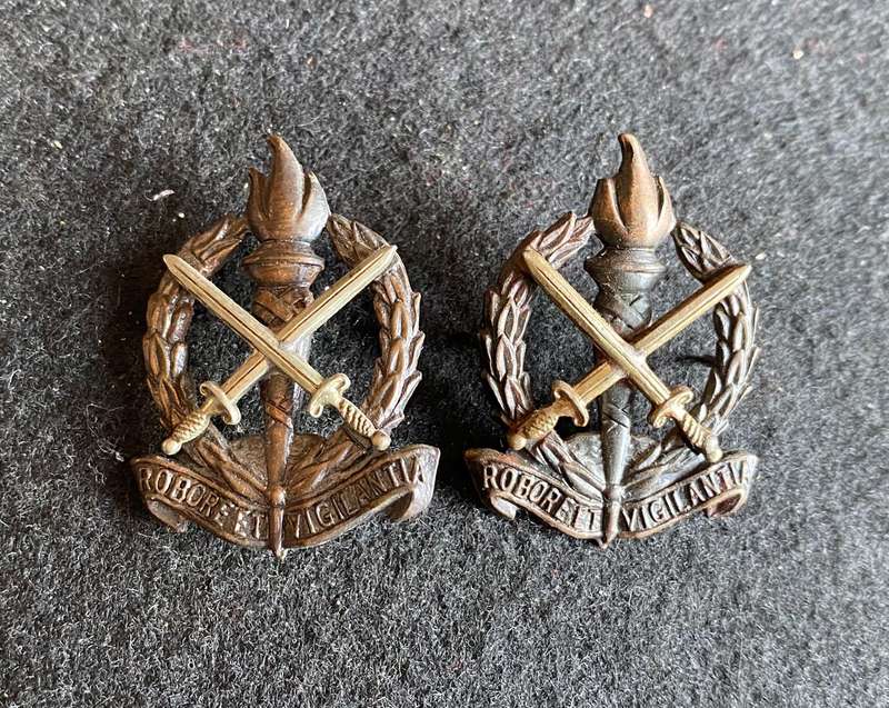 REGT. SCHOONSPRUIT COLLAR PAIR-WORN FROM 1966-ONE PIN MISSING