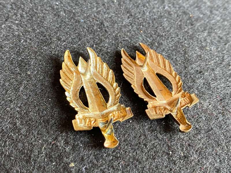REGT. NORTHERN TRANSVAAL GILT COLLAR BADGE PAIR-APPROVED 1966-PINS COMPLETE