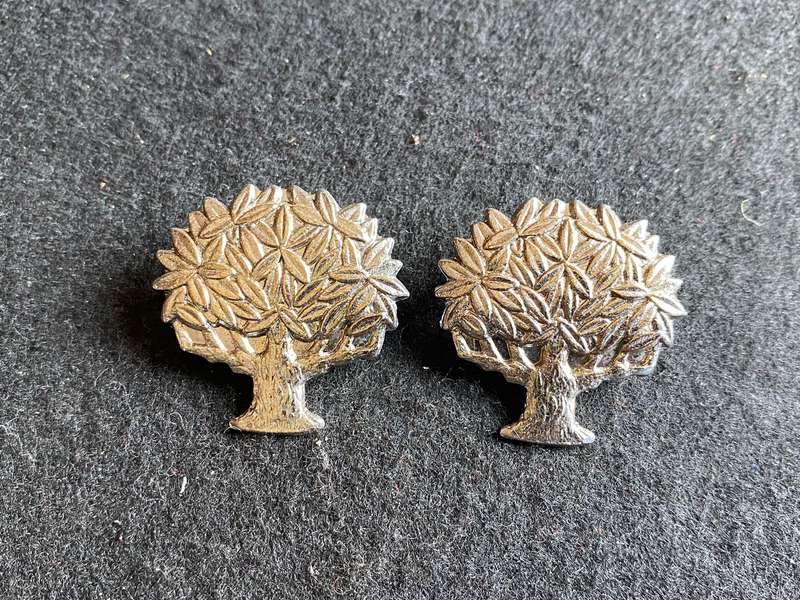 REGT. VRYSTAAT COLLAR BADGE PAIR-WORN POST 1976-PINS INTACT