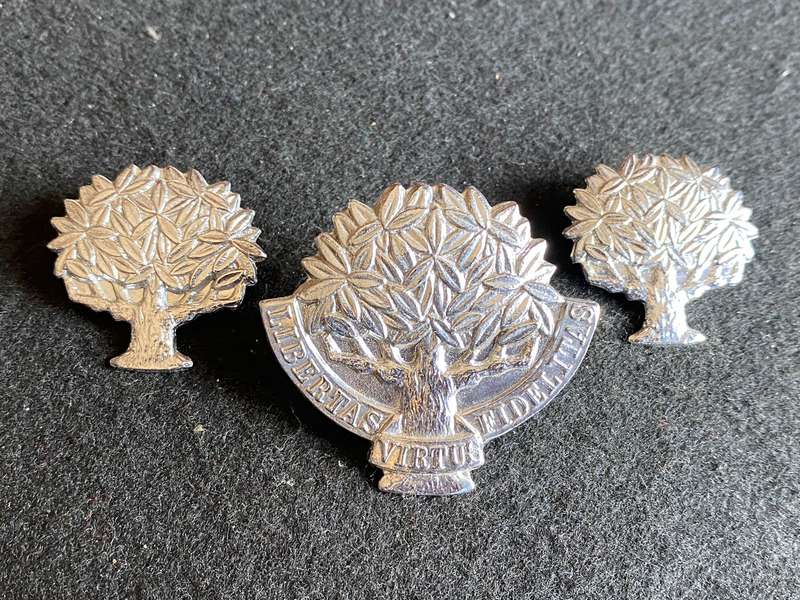 REGIMENT VRYSTAAT (CHROMED CAP AND COLLARS)WORN POST 1976-LUGS + PINS INTACT