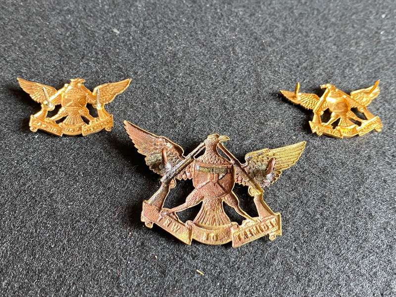 REGT. DE WET GILDING METAL CAP AND COLLARS-WORN FROM 1967-LUGS + PINS INTACT