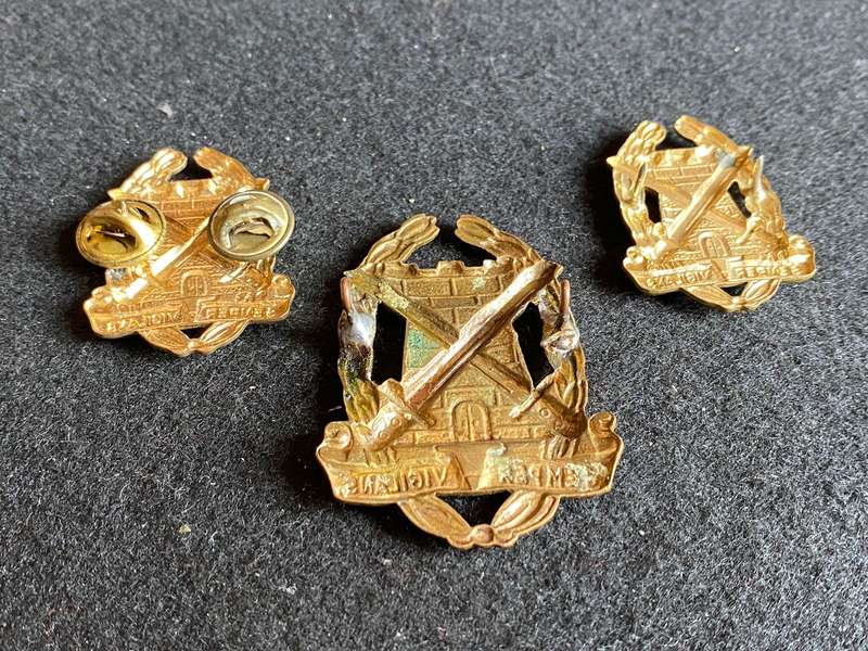 SPECIAL SERVICES CORPS GILT CAP AND COLLARS-WORN FROM 1965-LUGS + PINS COMPLETE