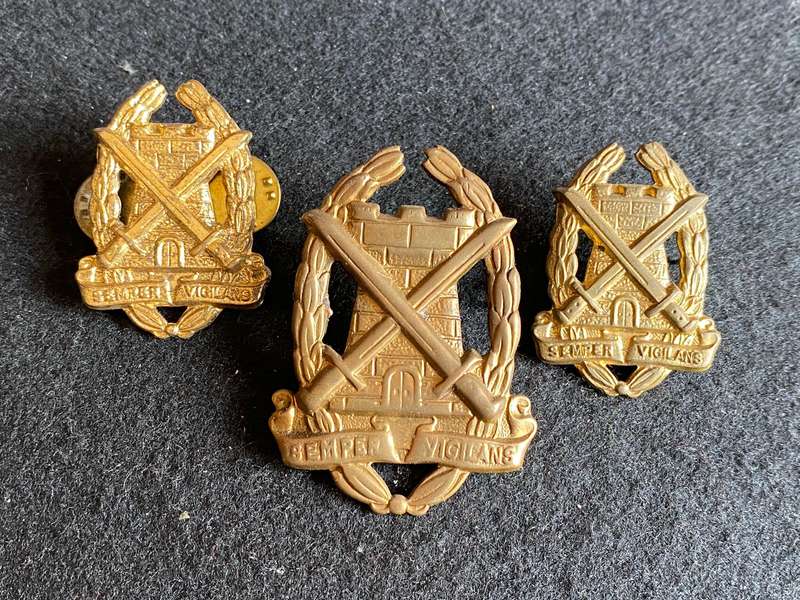 SPECIAL SERVICES CORPS GILT CAP AND COLLARS-WORN FROM 1965-LUGS + PINS COMPLETE