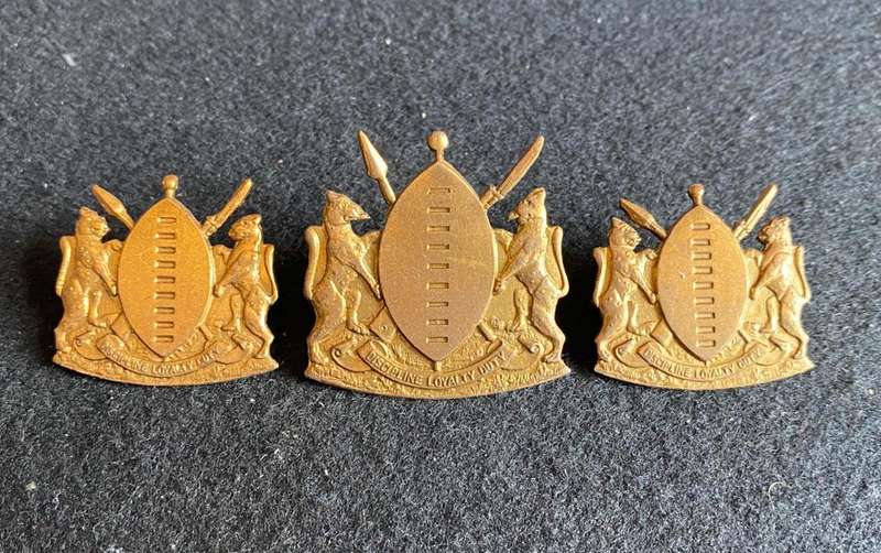TRANSKEI DEFENCE FORCE-GILDING METAL CAP AND COLLARS-LUGS + PINS INTACT
