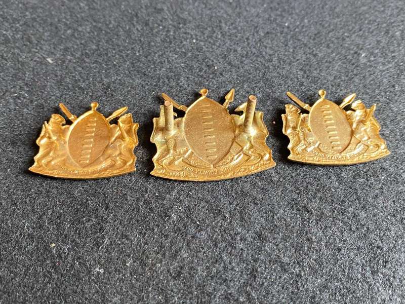 TRANSKEI DEFENCE FORCE-GILDING METAL CAP AND COLLARS-LUGS + PINS INTACT