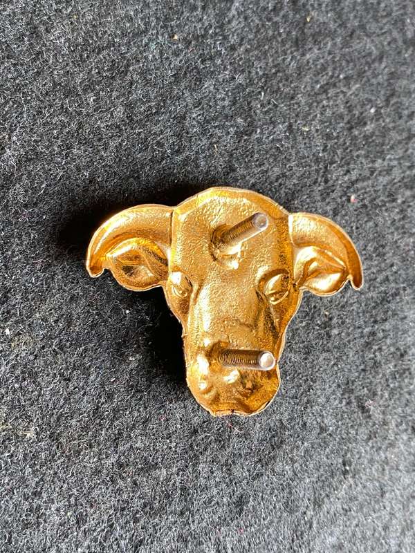TRANSKEI DEFENCE FORCE- GILDING METAL CAP BADGE- 2 LUGS