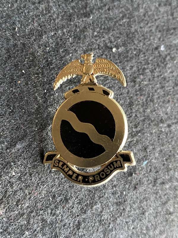 REGT. MOOIRIVIER CAP BADGE-WORN POST 1970-PINS COMPLETE