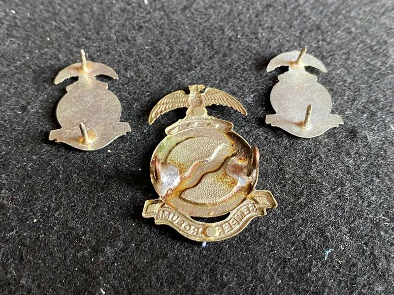 REGT. MOOIRIVIER CAP AND COLLARS-WORN POST 1970- LUGS + PINS INTACT