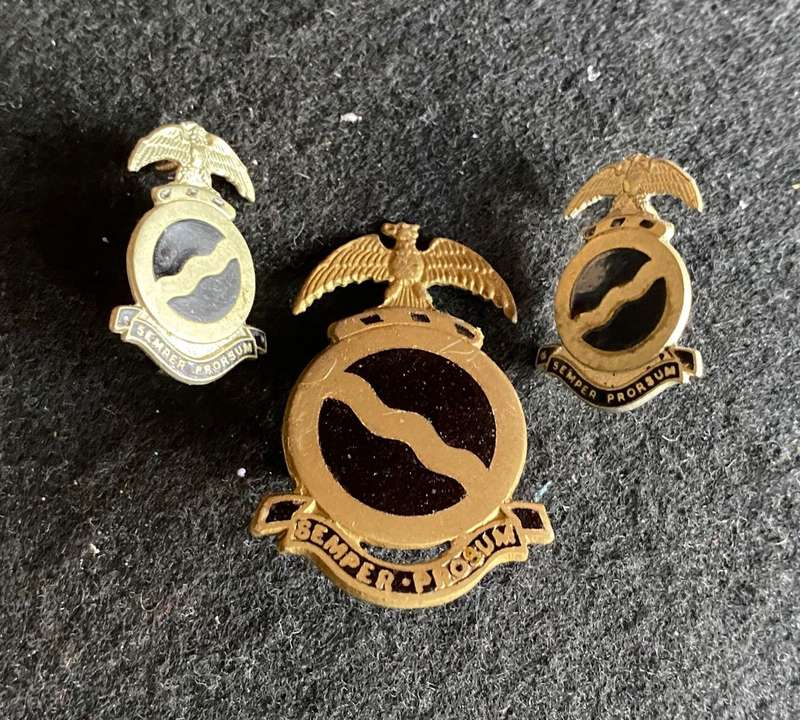 REGT. MOOIRIVIER CAP AND COLLARS-WORN POST 1970- LUGS + PINS INTACT