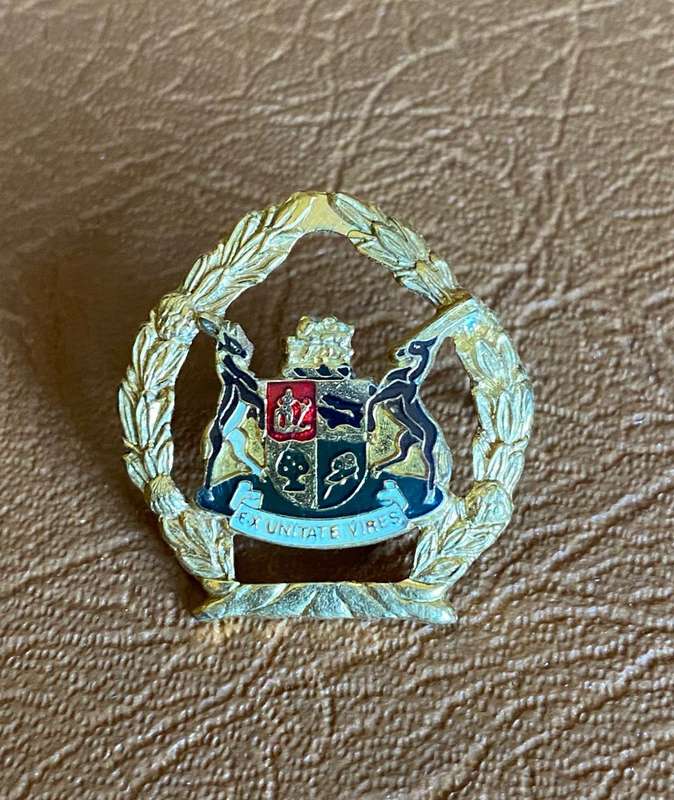 SA PRISONS SERVICE W.O. MESS DRESS ARM BADGE- 2 PINS