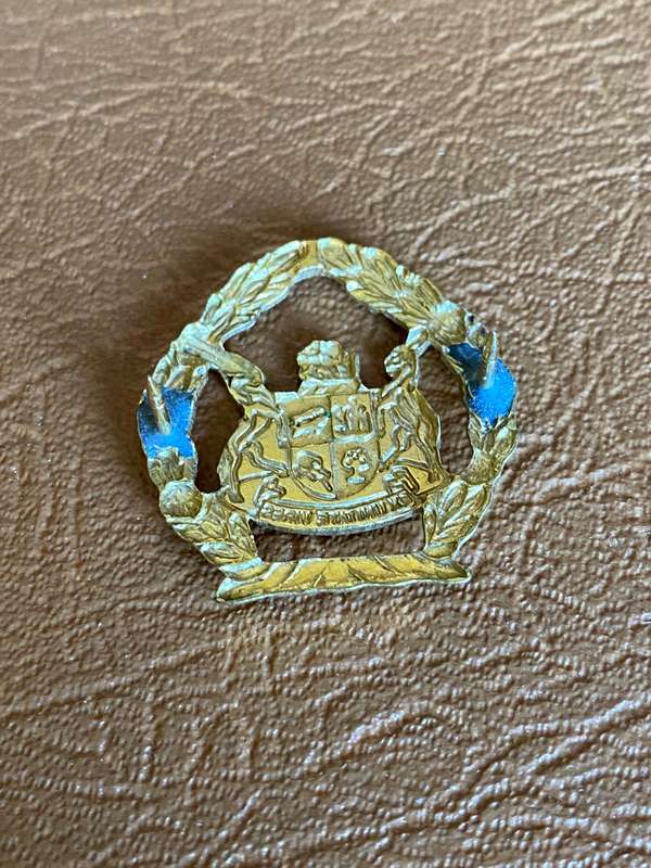 SA PRISONS SERVICE W.O. MESS DRESS ARM BADGE- 2 PINS