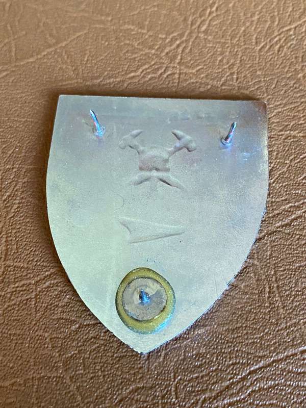 1 TRANSVER UNIT FIRE BRIGADE FLASH- 3 PINS