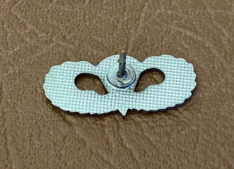 USA AIRBORNE,MESS DRESS WING- ONE PIN