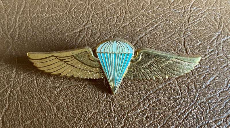ZAMBIAN BASIC STATIC LINE PARA WINGS-BLUE CENTRE WITH GILT WINGS-1970'S-80'S