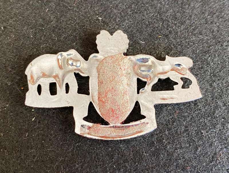 ROYAL SWAZILAND POLICE CAP BADGE- NO LUGS