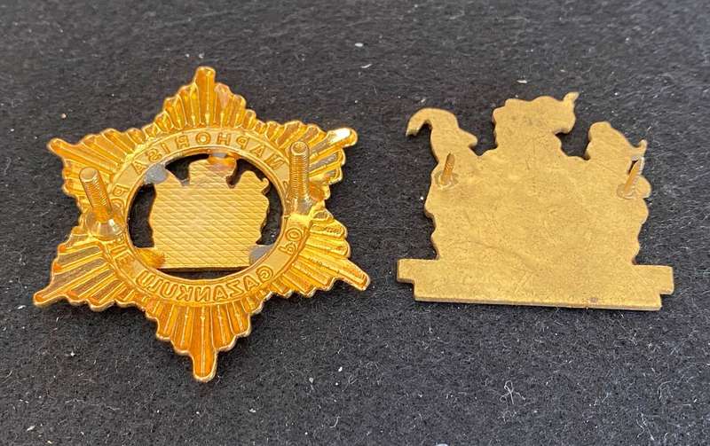 GAZANKULU POLICE OFFICERS CAP AND RANK BADGE- LUGS+ PINS COMPLETE