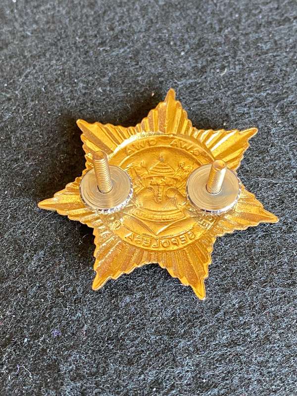 QWA QWA POLICE OFFICERS CAP BADGE- 2X SCREW LUGS