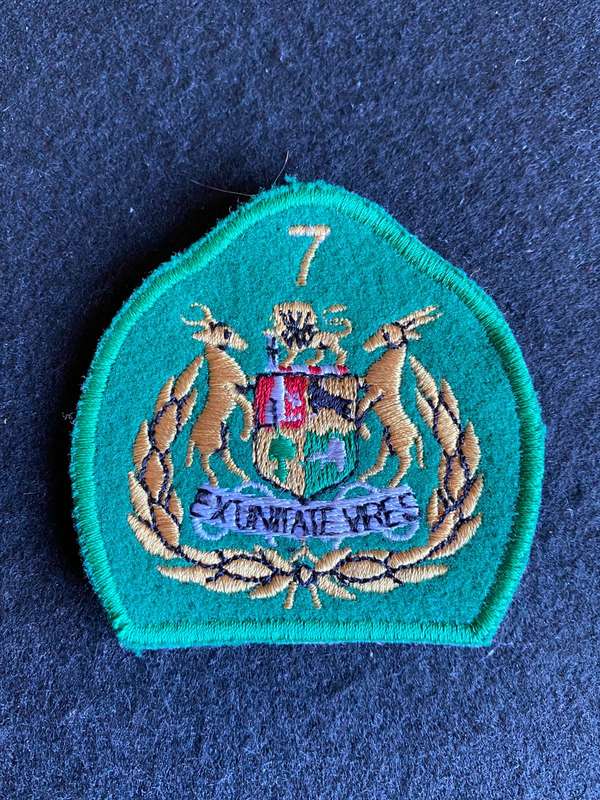 7 DIVISION SERGEANT MAJOR RANK BADGE-APPROVED IN 1974