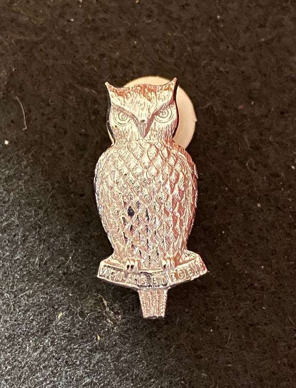 MILITARY INTELLIGENCE,MESS DRESS COLLAR BADGE- 2 PINS-CHROME-POST 1971
