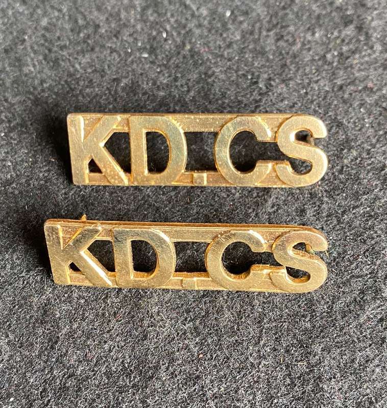 SA CORRECTIONAL SERVICE TITLE PAIR-PINS COMPLETE