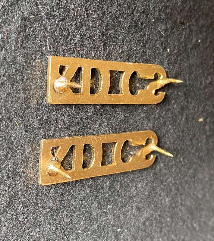 SA CORRECTIONAL SERVICE TITLE PAIR-PINS COMPLETE