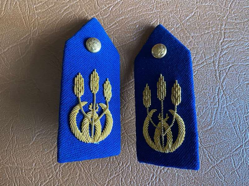 POLICE GENERAL OFFICERS GORGET PAIR