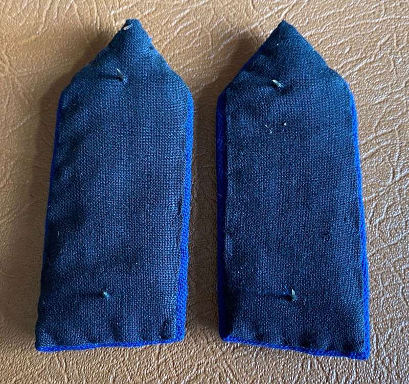 POLICE BRIGADIER GORGET PAIR